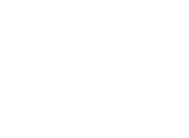 Gunlex