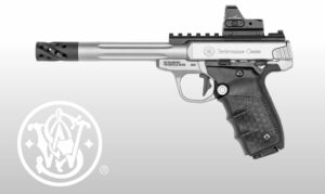 Smith & Wesson SW22 Victory Target