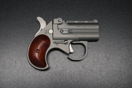 Charter Arms Bearman Satin