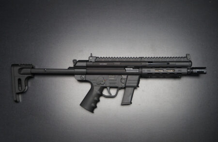 GSG GSG-9 WES Variante
