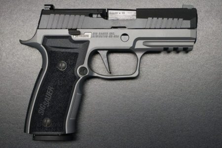 Sig Sauer P320 AXG 2 Tone